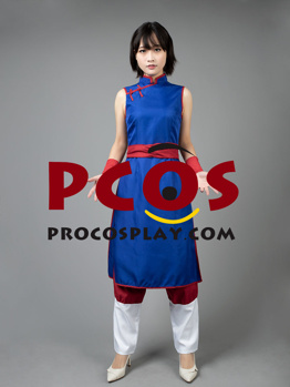 Picture of Dragon Ball Chichi 1 Cospaly Costume mp004002