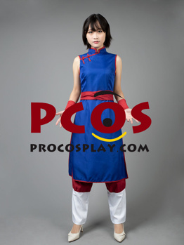 Picture of Dragon Ball Chichi 1 Cospaly Costume mp004002