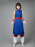 Picture of Dragon Ball Chichi 1 Cospaly Costume mp004002