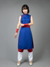 Picture of Dragon Ball Chichi 1 Cospaly Costume mp004002