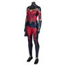 Image de Endgame Carol Danvers Cosplay Costume mp005020