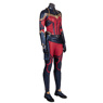 Image de Endgame Carol Danvers Cosplay Costume mp005020