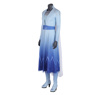 Изображение Frozen 2 Elsa Cosplay Costume mp004983