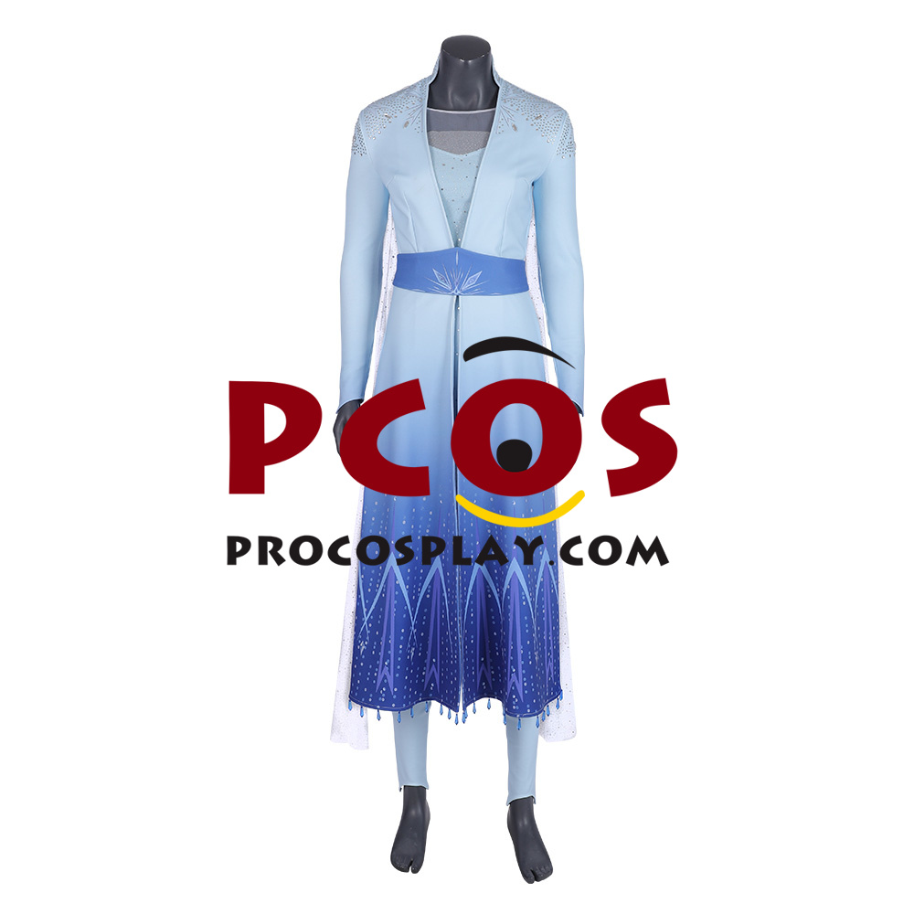 adult frozen 2 elsa costume