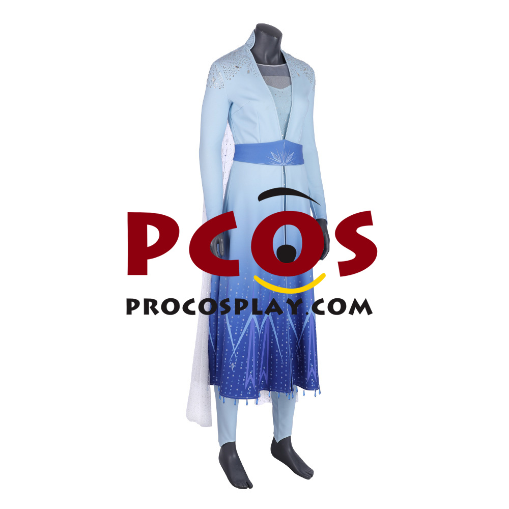 adult frozen 2 elsa costume