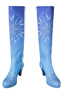 Immagine di Frozen 2 Elsa Cosplay Costume mp005172