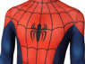 Picture of Ultimate Spider-Man Peter Parker Cosplay Costume mp005260