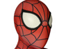 Picture of Ultimate Spider-Man Peter Parker Cosplay Costume mp005260