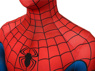 Picture of Peter Parker Cosplay Costume mp005262