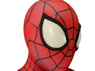 Picture of Peter Parker Cosplay Costume mp005262