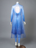 Image de Frozen 2 Elsa Cosplay Costume mp005238