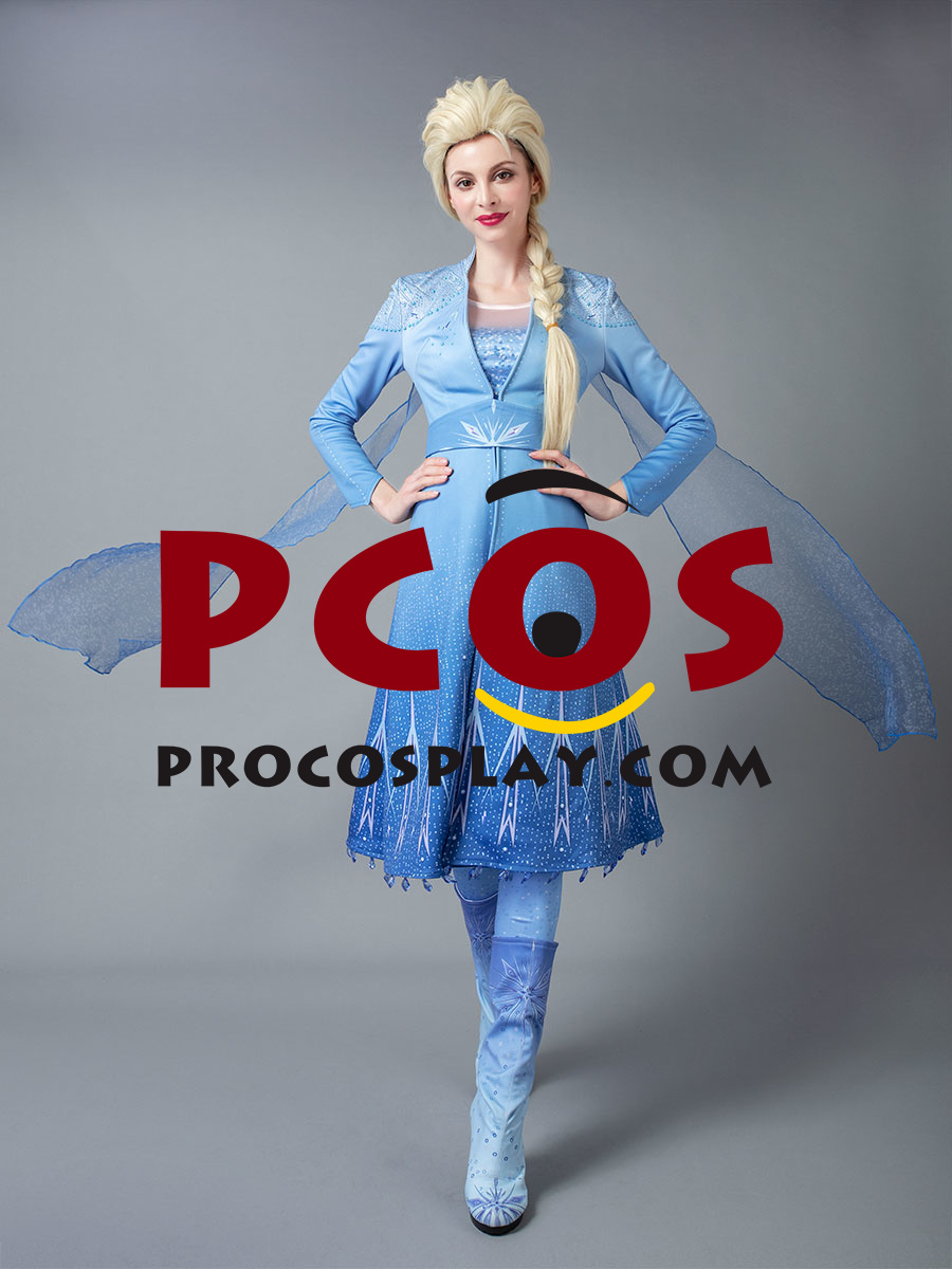 adult frozen 2 elsa costume