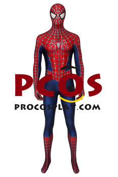 Picture of Peter Parker Cosplay Costume mp005462