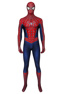 Photo dePeter Parker Cosplay Costume mp005462