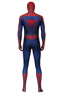 Picture of Peter Parker Cosplay Costume mp005462