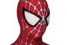 Bild von Peter Parker Cosplay Kostüm mp005462