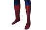 Immagine del costume cosplay di Peter Parker mp005462