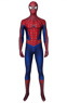 Immagine del costume cosplay di Peter Parker del 2002 mp005461