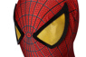 Immagine di The Amazing Peter Parker Cosplay Costume mp005459