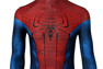 Photo de l'incroyable Peter Parker Cosplay Costume mp005459