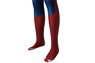 Photo de l'incroyable Peter Parker Cosplay Costume mp005459