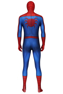 Picture of Peter Parker Cosplay Costume mp005455