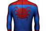 Picture of Peter Parker Cosplay Costume mp005455