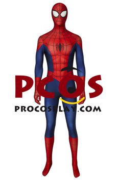 Picture of Ultimate Spider-Man Peter Parker Cosplay Costume mp005454