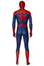 Picture of Ultimate Spider-Man Peter Parker Cosplay Costume mp005454