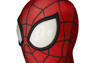 Picture of Ultimate Spider-Man Peter Parker Cosplay Costume mp005454