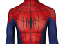 Picture of Ultimate Spider-Man Peter Parker Cosplay Costume mp005454