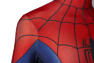 Picture of Ultimate Spider-Man Peter Parker Cosplay Costume mp005454