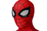 Picture of Peter Parker Cosplay Costume mp005449