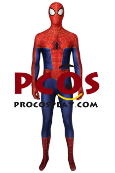 Picture of Peter Parker Cosplay Costume mp005420