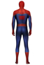 Picture of Peter Parker Cosplay Costume mp005420