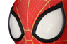 Photo dePeter Parker Cosplay Costume mp005420