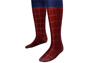 Picture of Peter Parker Cosplay Costume mp005420