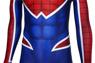 Bild von Spider-Geddon Hobart Brown Spider-Punk Cosplay-Kostüm mp005427