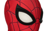 Picture of Endgame Spider-man Peter Parker Cosplay Costume mp005443