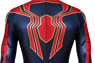 Immagine di Endgame Spider-man Peter Parker Cosplay Costume mp005443