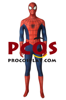 Picture of Ultimate Spider-Man Peter Parker Cosplay Costume mp005432