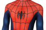 Picture of Ultimate Spider-Man Peter Parker Cosplay Costume mp005432