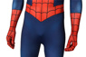 Picture of Ultimate Spider-Man Peter Parker Cosplay Costume mp005432