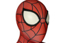 Picture of Ultimate Spider-Man Peter Parker Cosplay Costume mp005432