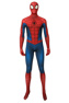 Picture of Spider-Man Peter Parker Cosplay Costume mp005433