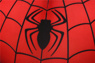 Immagine di Spider-Man Peter Parker Cosplay Costume mp005433