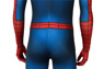 Picture of Spider-Man Peter Parker Cosplay Costume mp005433