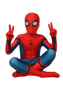 Picture of Spider-Man: Homecoming Peter Parker Cosplay Costume For Kids mp005484