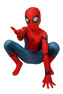 Picture of Spider-Man: Homecoming Peter Parker Cosplay Costume For Kids mp005484