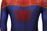 Picture of Spider-Man: Into the Spider-Verse Peter Parker Cosplay Costume for Kids mp005478